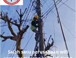 WRC Desak PLN Kota Prabumulih Segera Ambil Tindakan Tegas. Tertibkan Kabel / Jaringan Provider Internet Sesuai SOP