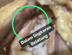 Ngeri!!!  Diduga Ada Belatung di Makanan Catering  Pabrik Majalengka 