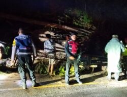 Longsor Disertai Pohon Tumbang di Jalan Bandung–Sumedang, Polisi dan Tim Gabungan Lakukan Evakuasi Cepat