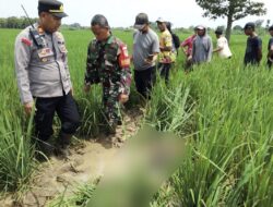 Mayat Pria Tanpa Identitas Ditemukan di Tengah Sawah Desa Balida Majalengka