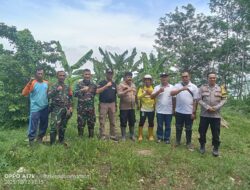 Serangkaian Penanaman Pohon Digelar di Kecamatan Buahdua, Dibantu CDK Kehutanan IX Jawa Barat Tumbuhkan Kehidupan Hijau