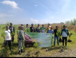 Giat Penanaman Pohon di Desa Marongge, Tomo: Wujud Kepedulian Pemerintah/Polri
