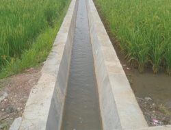 Pembangunan Jaringan Irigasi Lakbok Utara Rampung, Warga Sinartanjung Apresiasi BBWS Citanduy