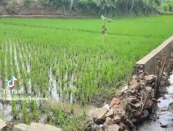 Proyek Paket 33 Tahun 2025 Di Cibogohilir Tidak Ada Perbaikan Dan Kini Jebol Kembali