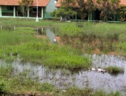 Kondisi Halaman Sekolah SMP Negeri 2 Sukawangi Hingga Kini Belum Tersentuh Perbaikan