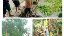 Kedes Muara Bakti H. Asmawi Turun Langsung Bersihkan Tumpukan Sampah Eceng Gondok