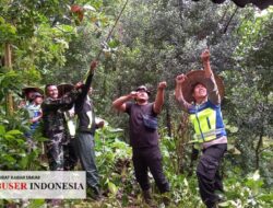 Polisi Jepara Bantu Evakuasi Pohon Tumbang Menimpa Rumah Warga di Batealit