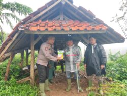 Zoom Penanaman Jagung Serentak Kuartal I Dukung Swasembada Pangan Nasional 2026