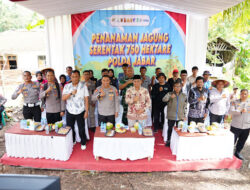 Polres Pangandaran Kelola 11 Hektare Lahan Jagung, Kapolres laksanakan penanaman di Desa Pamotan