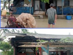 Miris.. Warga Muara Gembong, Sudah Kebanjiran Rumahnya Tertimpa Pohon