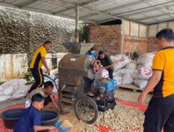 Dukung Swasembada Pangan Polsek Plered Purwakarta Jemur Hasil Panen Jagung