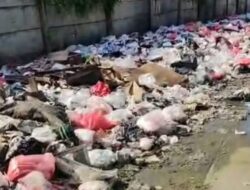 Tumpukan Sampah Rumah Tangga di Biarkan Menggunung di Pinggir Jalan Desa Pantai Makmur
