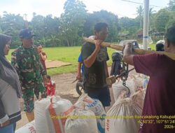 Kodim 0610/Sumedang Perkuat Ketahanan Pangan, Jajaran Koramil Serentak Kawal Serap Gabah Petani