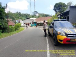 Kegiatan KRYD siang hari oleh Polsek Tanjungmedar Upaya Mencegah C3 di Wilayah hukum Kecamatan Tanjungmedar