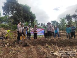 Penanaman Jagung Serentak Kuartal I Tahun 2026 dalam rangka mendukung Swasembada Jagung