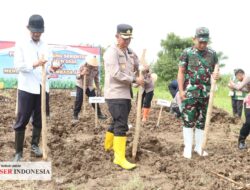 Dukung Swasembada Pangan 2026, Polres Rembang Gelar Tanam Jagung Serentak