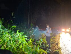 Penanganan Pohon Bambu Tumbang di Pamulihan, Tim Gabungan Sigap Amankan Lokasi