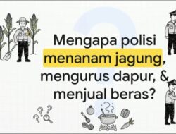 Polisi, Jagung, dan Dapur. Kayaknya Tiga Kata Ini Nggak Nyambung Ya. 