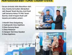 HUT ke-23 Tanbu Bupati Andi Rudi Latif dan Artis Asty Ananta Serahkan Bibit Tomat Cherry Stevia untuk Petani Lokal