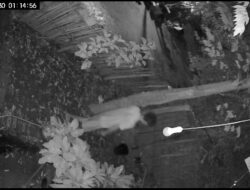 Diduga Ada Percobaan Pencurian Terekam CCTV, Warga Cambai Lapor ke Polisi