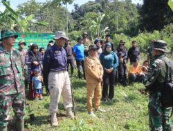 Tanam Pohon Cengkeh, Satgas TMMD ke-128 Kodim 0611/Garut Laksanakan Program Unggulan KASAD Bidang Penghijauan