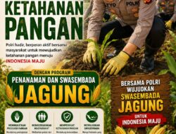 Polres Sumedang Dukung Swasembada Jagung Untuk Ketahanan Pangan Nasional 