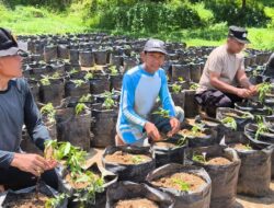 Satlantas Polres Sumedang Dukung Program Ketahanan Pangan Melalui Penananman Ubi Cilembu Dalam Polybag