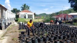 Bag SDM Polres Sumedang Dukung Ketahanan Pangan Melalui Pemeliharaan dan Penyulaman Bibit Ubi Cilembu Tahap 2 di Cimalaka 