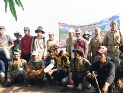 Dukung Ketahanan Pangan ,Polsek Tomo dan Petani Basmi Hama Tikus di Cipeles 