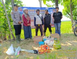 Semarak Hari Bhayangkara Ke -80 Polsek Ujungjaya Gelar Lomba Basmi Piala Kapolres di 15 Hektar Sawah Blok Gebang  