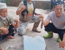 Hut Bhayangkara Ke-80 Gandeng Petani ,Polres Sumedang Gempur Sarang Tikus di Kebonjati 
