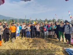 Hut Bhayangkara Ke-80 Piala Kapolres Sumedang ,80 Petani Tanjungkerta Gempur Hama Tikus Dengan Metode Emposan Simawar,33 Ekor Berhasil di Basmi