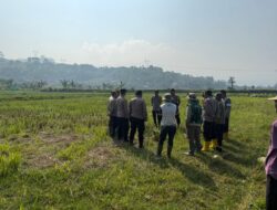 Polres Sumedang Dorong Ketahanan Pangan Melalui Lomba Pembasmian Hama Tikus di Kecamatan Cimanggung 