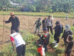 Polres Sumedang Dukung Ketahanan Pangan Melalui Lomba Pembasmian Hama Tikus di Kecamatan Conggeang
