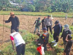 Bag SDM Polres Sumedang Dukung Ketahanan Pangan Melalui Lomba Pembasmian Hama Tikus di Jatinunggal 