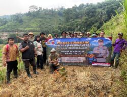 Polsek Tanjungmedar Hadir dan Peduli Terhadap Ketahanan Pangan Melalui Lomba Pembasmian Hama Tikus Dalam Rangka Hut. Bhayangkara Ke-80