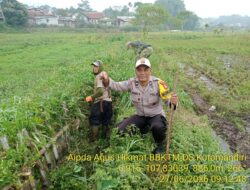 Lomba Pembasmian Hama Tikus Piala Kapolres Sumedang Meriahkan Hari Bhayangkara ke-80, Dukung Swasembada Pangan