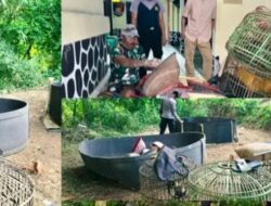 Kabur Terbirit birit pelaku Sambung Ayam di Cibatu Tinggalin Ayam dan Motor
