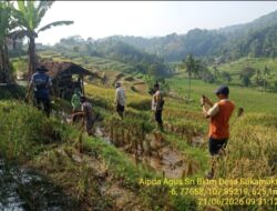 Hut Bhayangkara Ke-80 Polsek Tanjungmedar Gelar Lomba Basmi ,Selamatkan Sawah Petani Sukamukti dari Serangan 5 Musim 