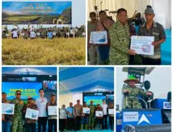 Pangdam III/Siliwangi Pimpin Panen Raya TNI di Sumedang, Perkuat Ketahanan Pangan Nasional