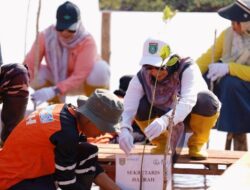 Hari Mangrove Sedunia 2026 Tanah Bumbu Tanam Mangrove untuk Generasi Mendatang.