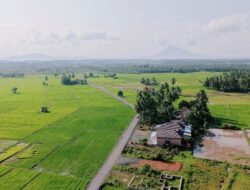 Bupati Andi Rudi Latif Dorong Produktivitas Petani dan Petambak Lewat Pengaspalan Jalan di Desa Sepunggur