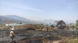 Kebakaran Lahan Ilalang 3 Hektare di Cimanggung Berhasil Dipadamkan