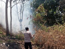 Kebakaran Lahan Alang-Alang di Cimalaka Berhasil Dipadamkan
