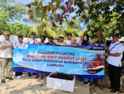 Budidaya Rumput Laut Kemujan Belum Panen, Pembangunan Masih Berjalan