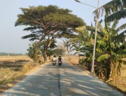 Pembetonan Jalan Pecangaan Kulon–Sowan Kidul Hampir Rampung, Sejumlah Titik Belum Diurug