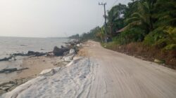 JALAN DESA KERAYA PUTUS TOTAL! Abrasi Gerus Akses Wisata, Ekonomi Warga Kumai Terancam Lumpuh
